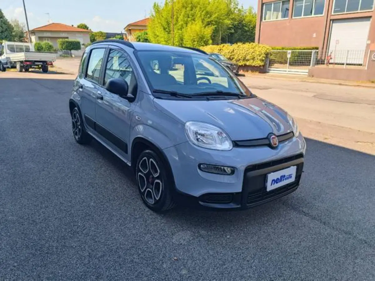 Fiat Panda usata a Pisa (17)