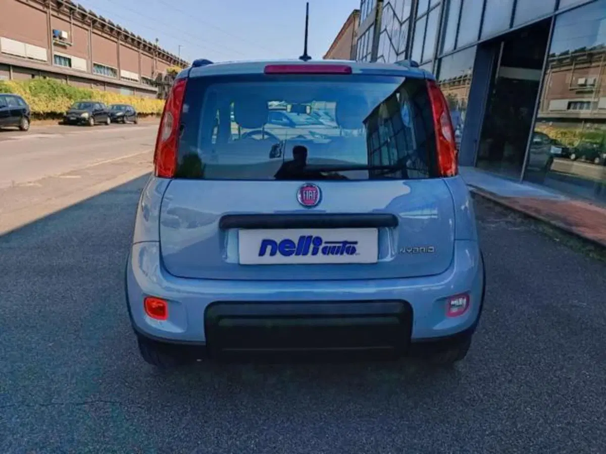 Fiat Panda usata a Pisa (18)