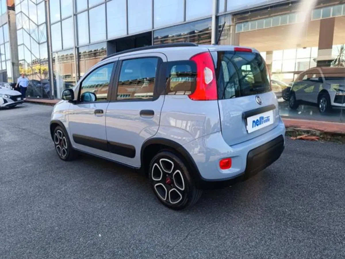 Fiat Panda usata a Pisa (19)