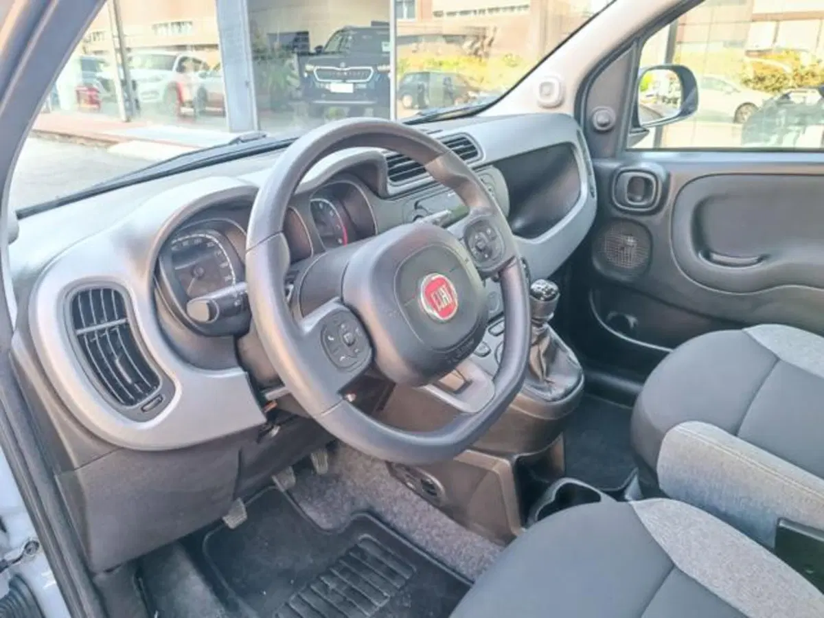 Fiat Panda usata a Pisa (2)