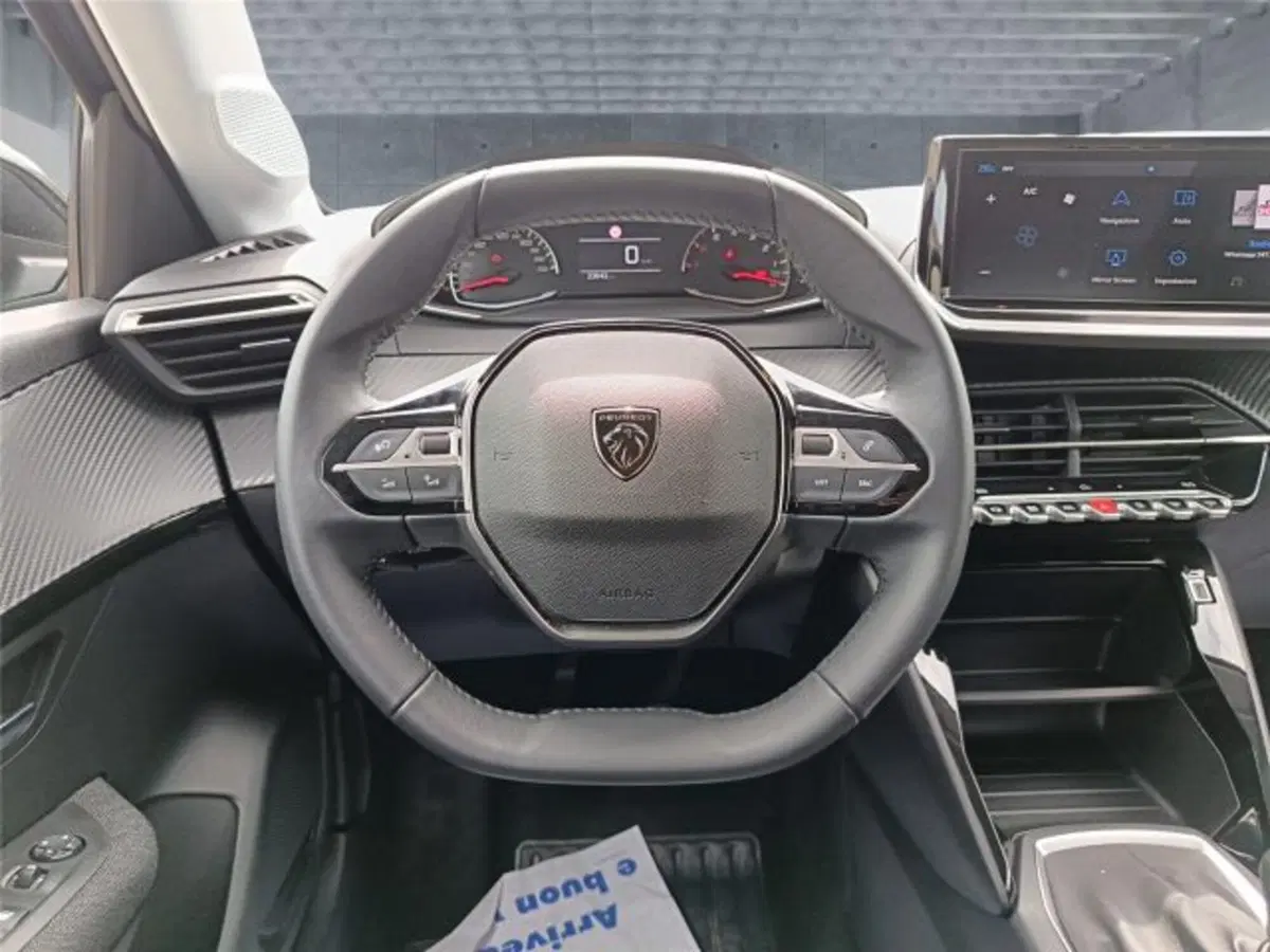 Peugeot 208 usata a Bari (14)