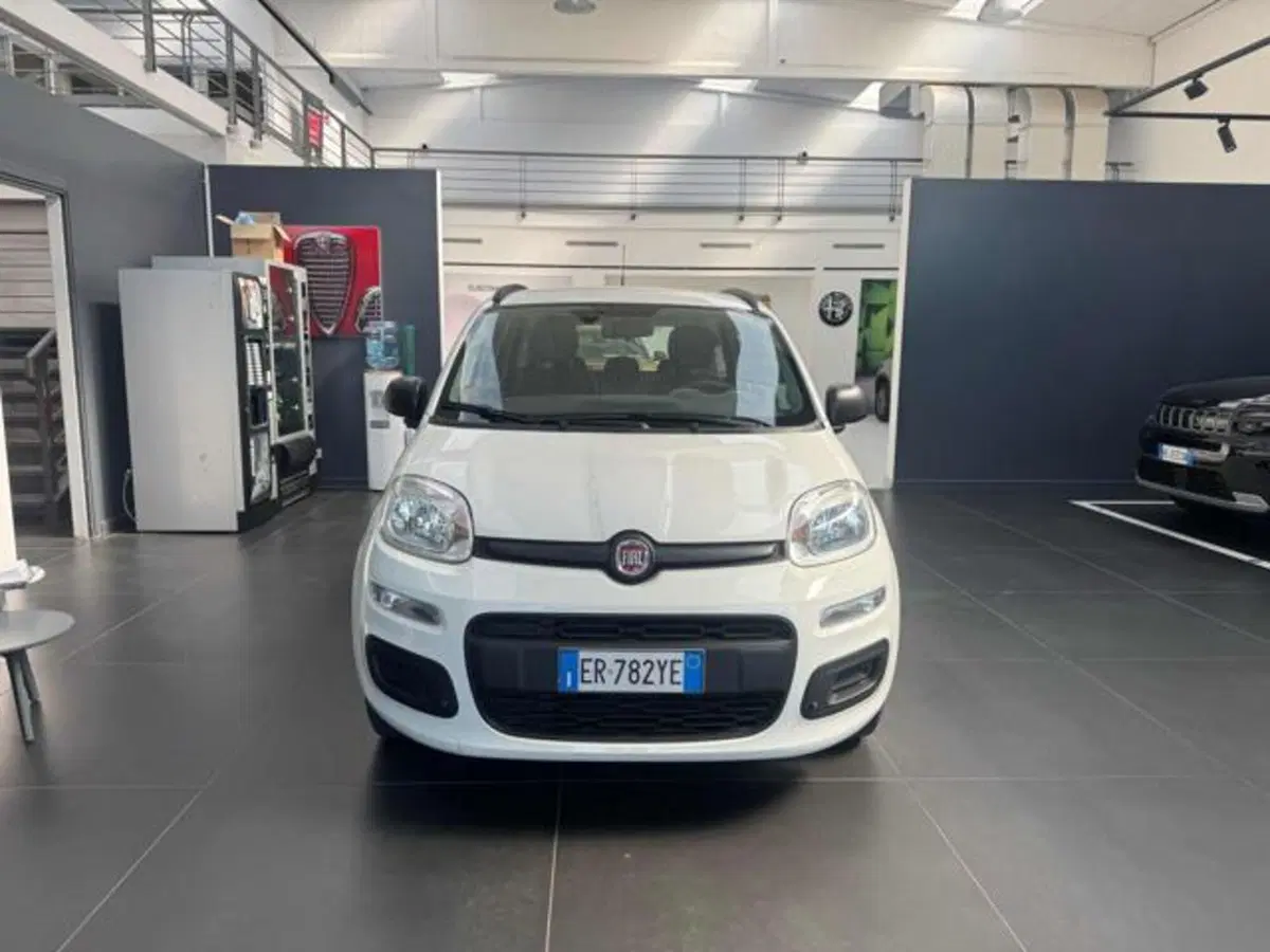 Fiat Panda usata a Vercelli (2)