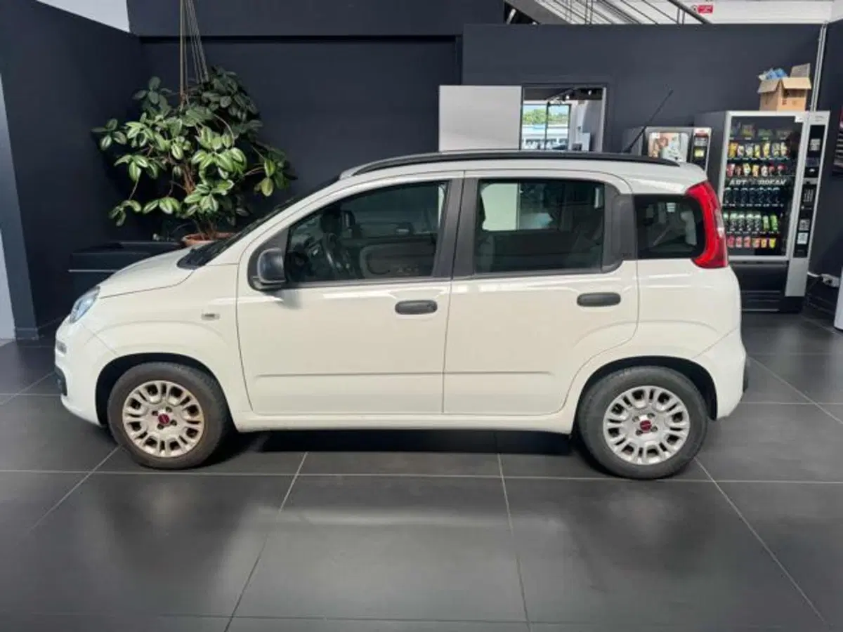 Fiat Panda usata a Vercelli (4)