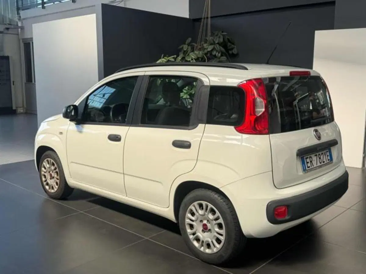 Fiat Panda usata a Vercelli (5)