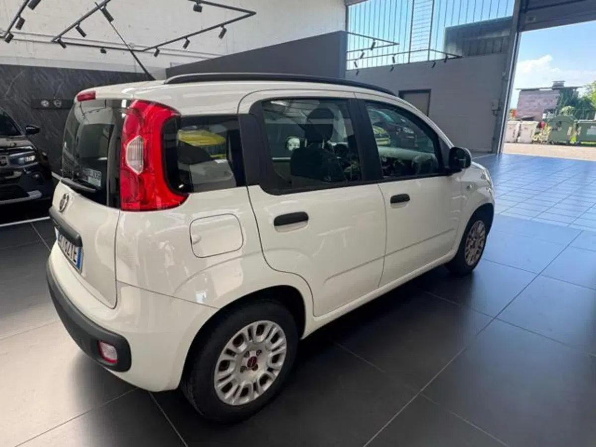 Fiat Panda usata a Vercelli (7)