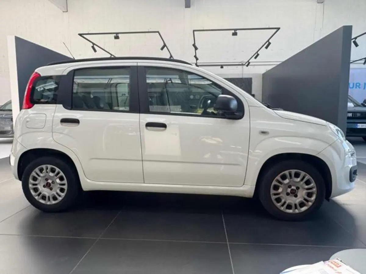 Fiat Panda usata a Vercelli (8)