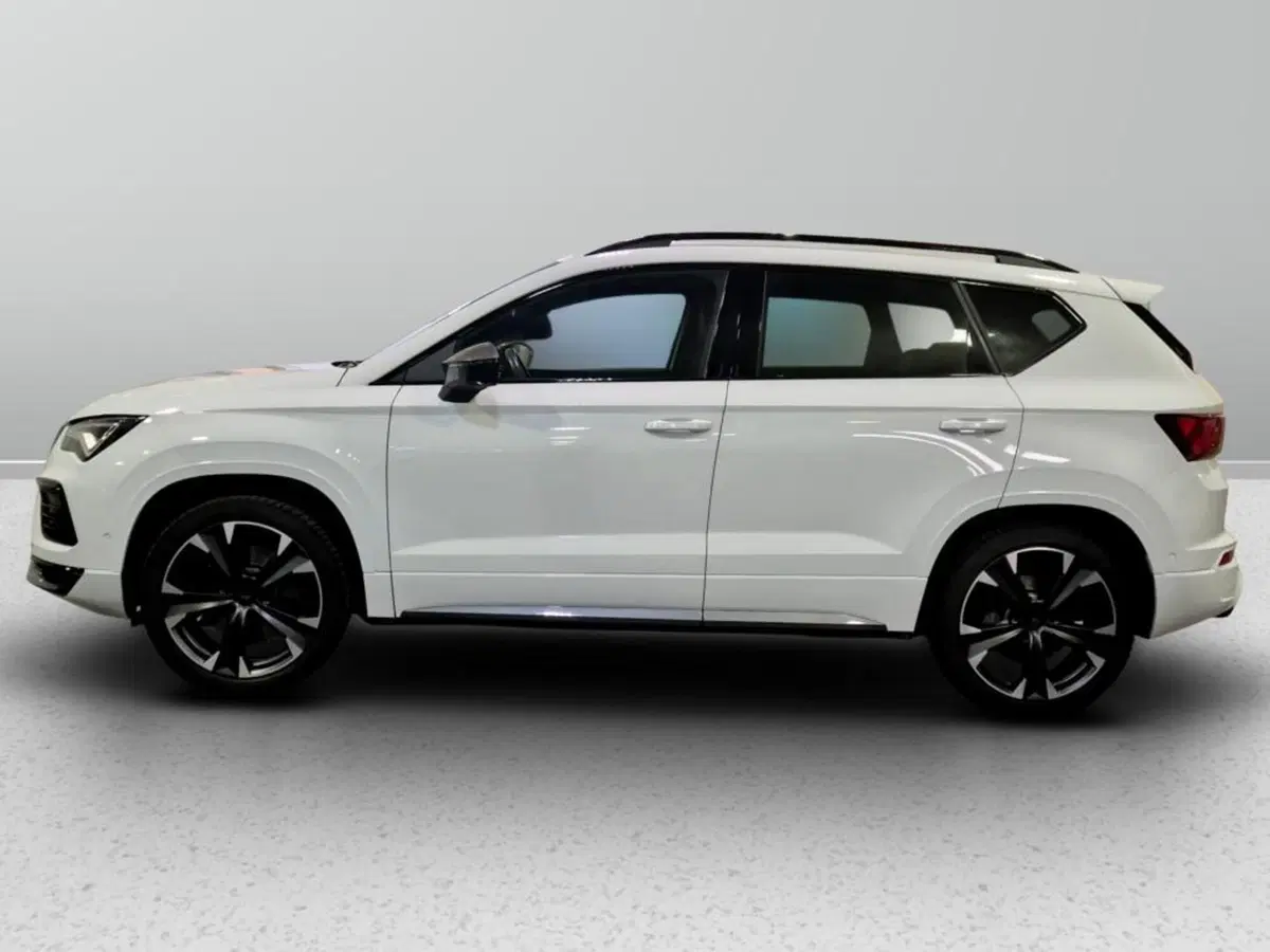 Cupra Ateca usata a Padova (5)