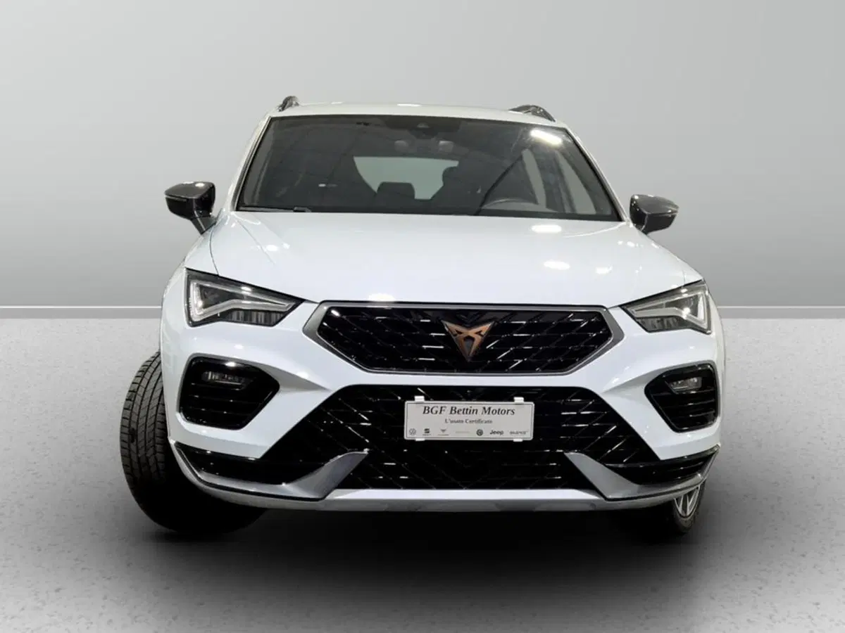 Cupra Ateca usata a Padova (7)