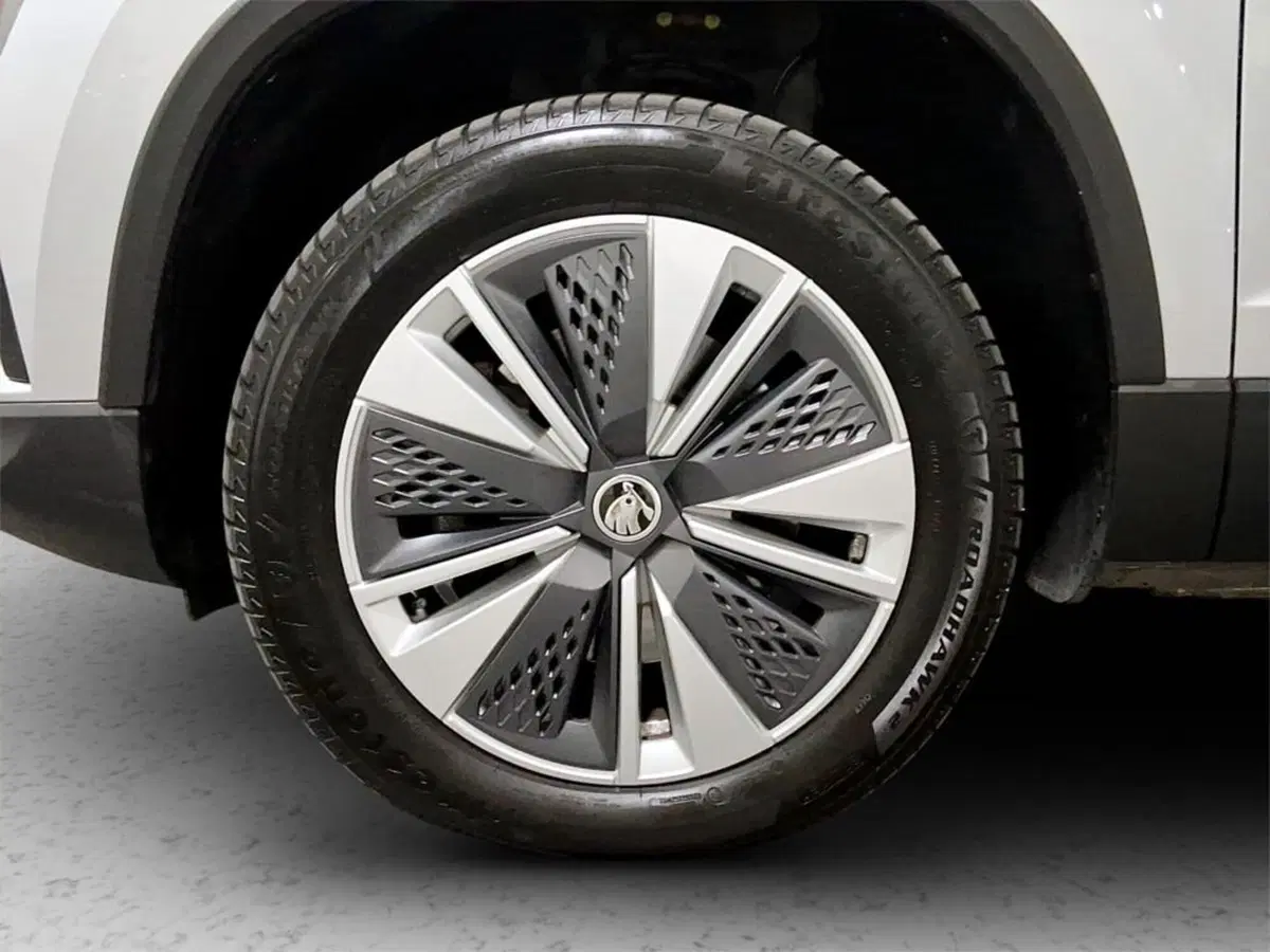 Skoda Karoq usata a Padova (9)