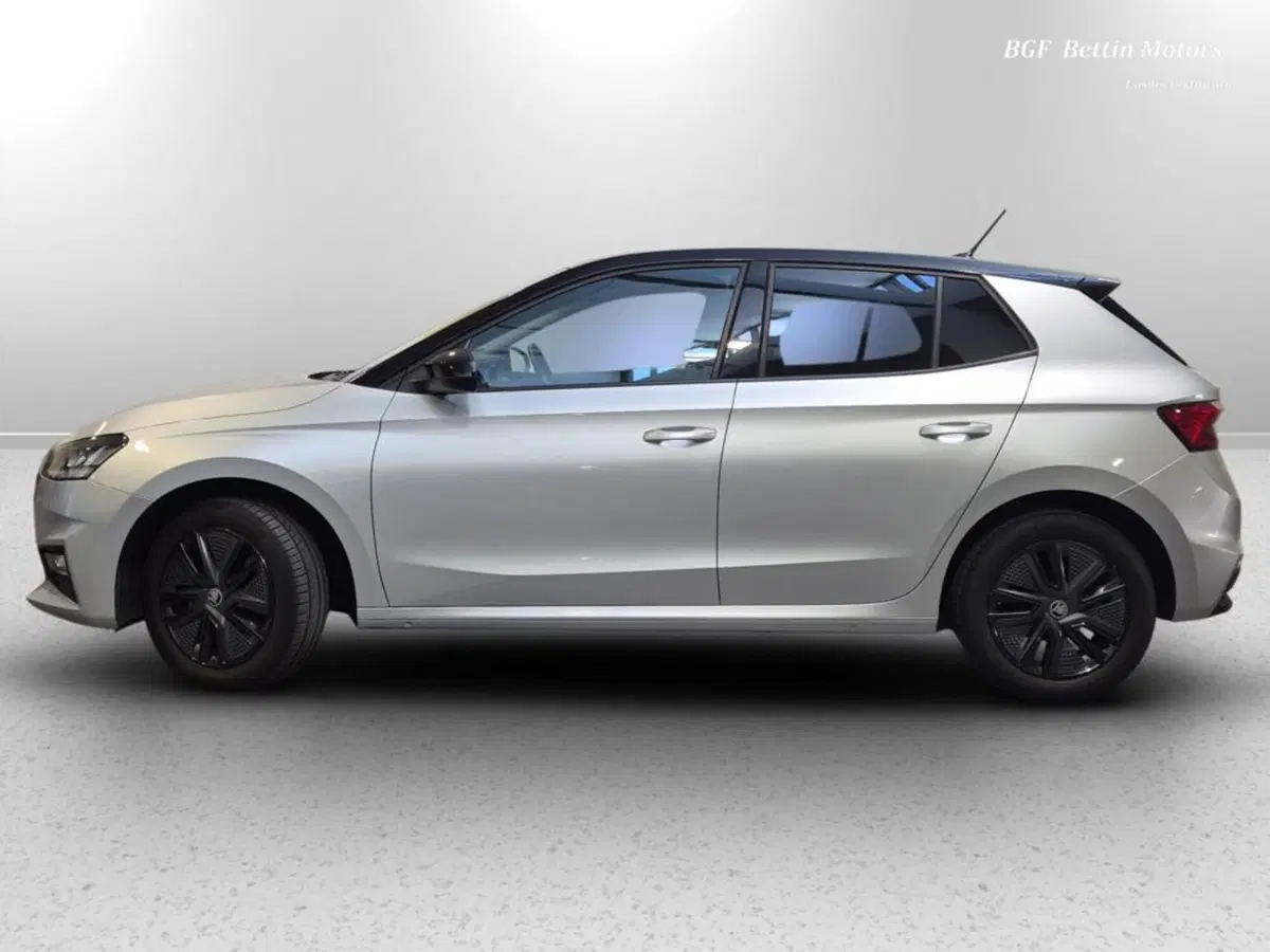 Skoda Fabia usata a Padova (2)
