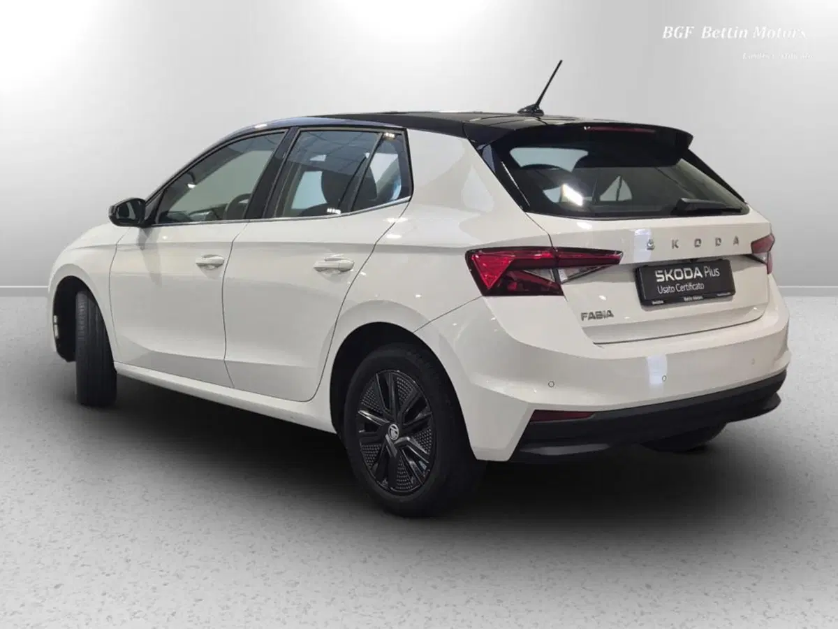 Skoda Fabia usata a Padova (3)