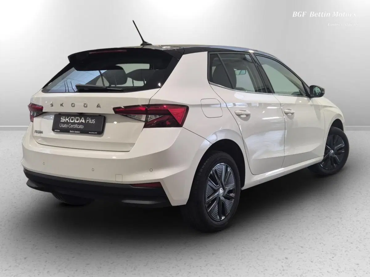 Skoda Fabia usata a Padova (6)
