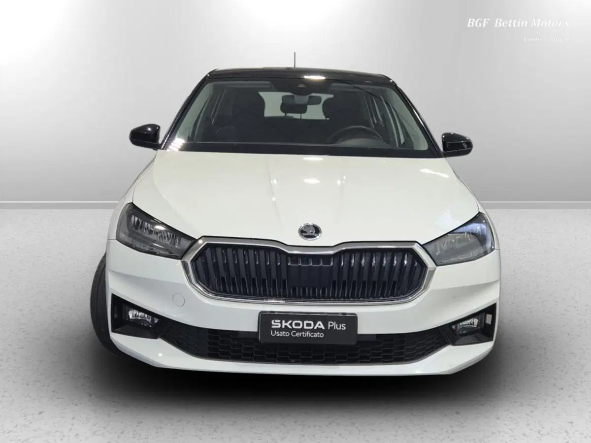 Skoda Fabia usata a Padova (7)