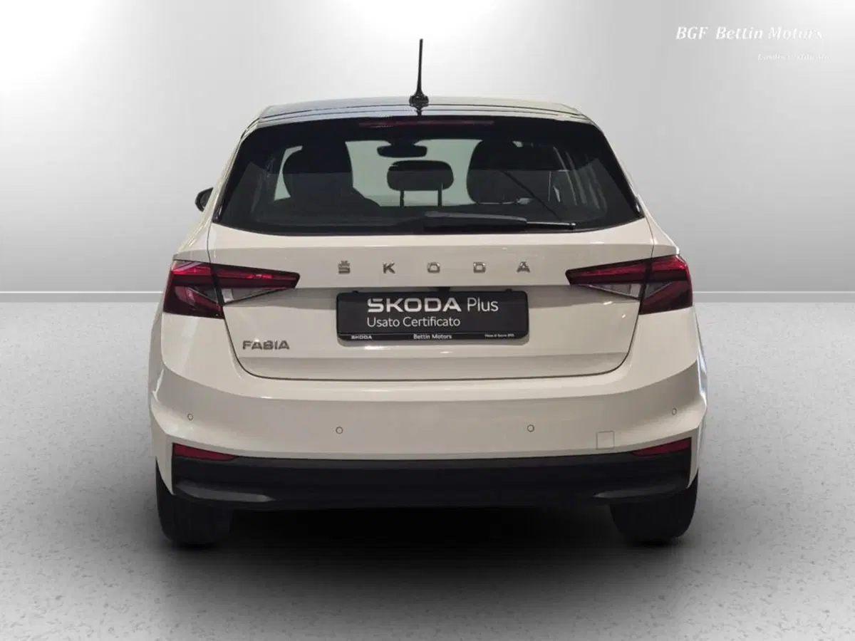 Skoda Fabia usata a Padova (8)
