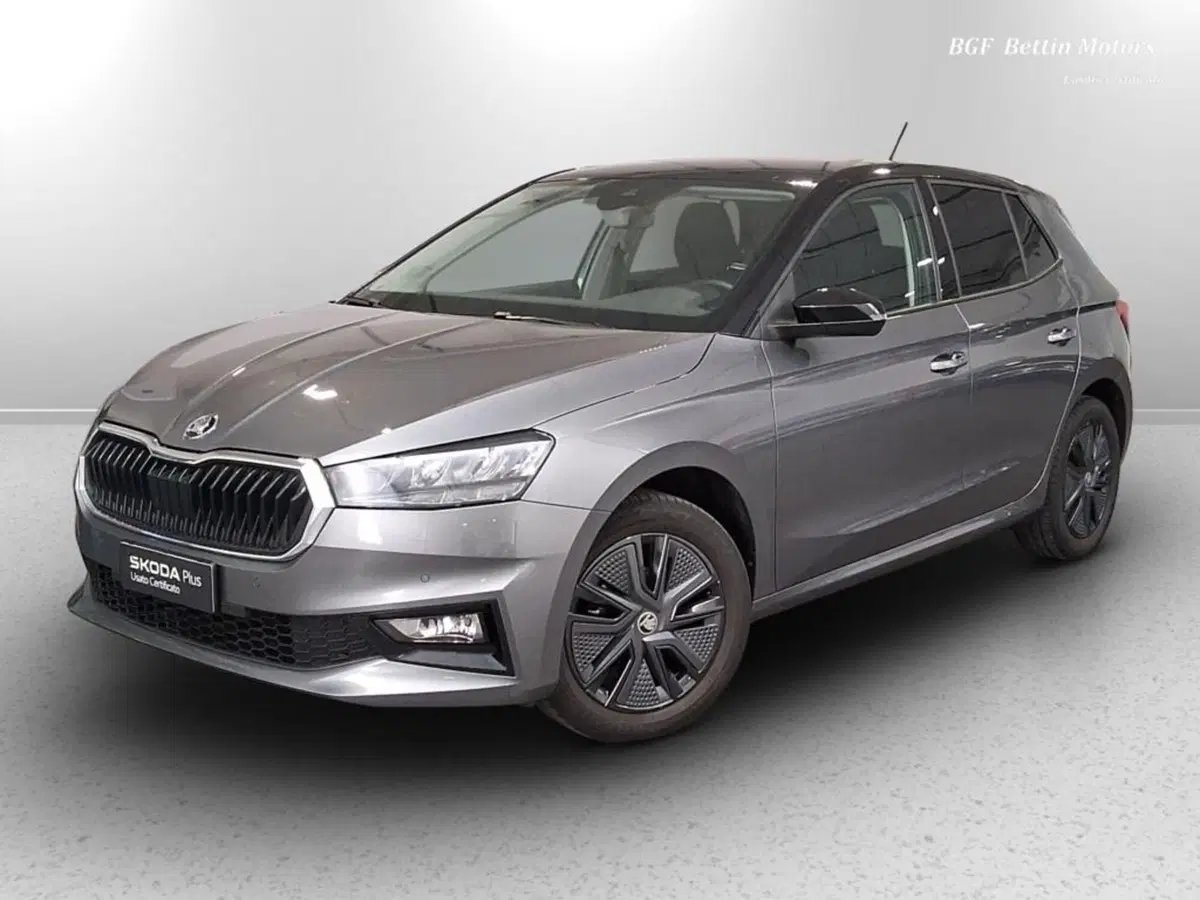 Skoda Fabia usata a Padova