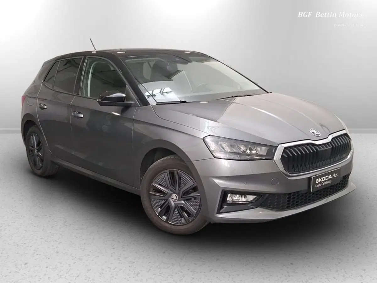 Skoda Fabia usata a Padova (4)
