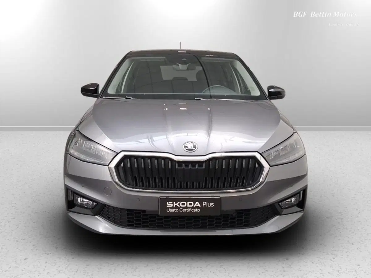 Skoda Fabia usata a Padova (7)