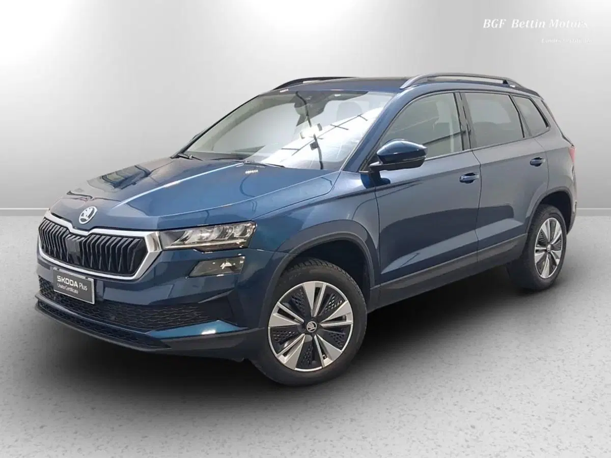 Skoda Karoq usata a Padova