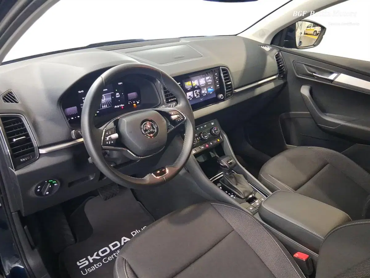 Skoda Karoq usata a Padova (12)