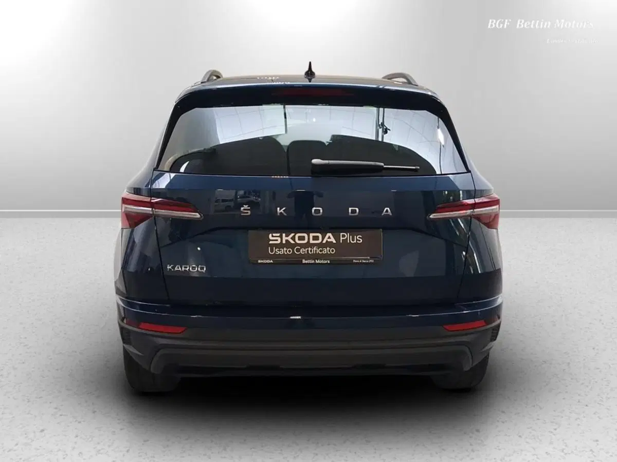 Skoda Karoq usata a Padova (8)