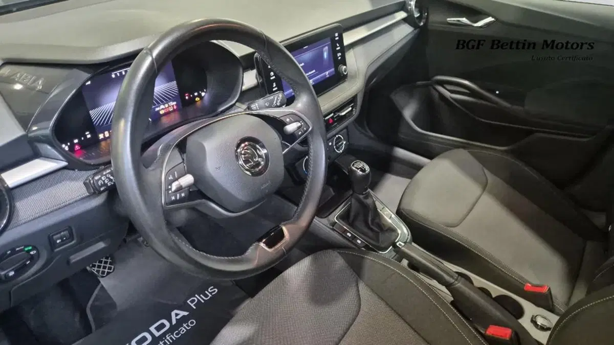Skoda Fabia usata a Padova (10)