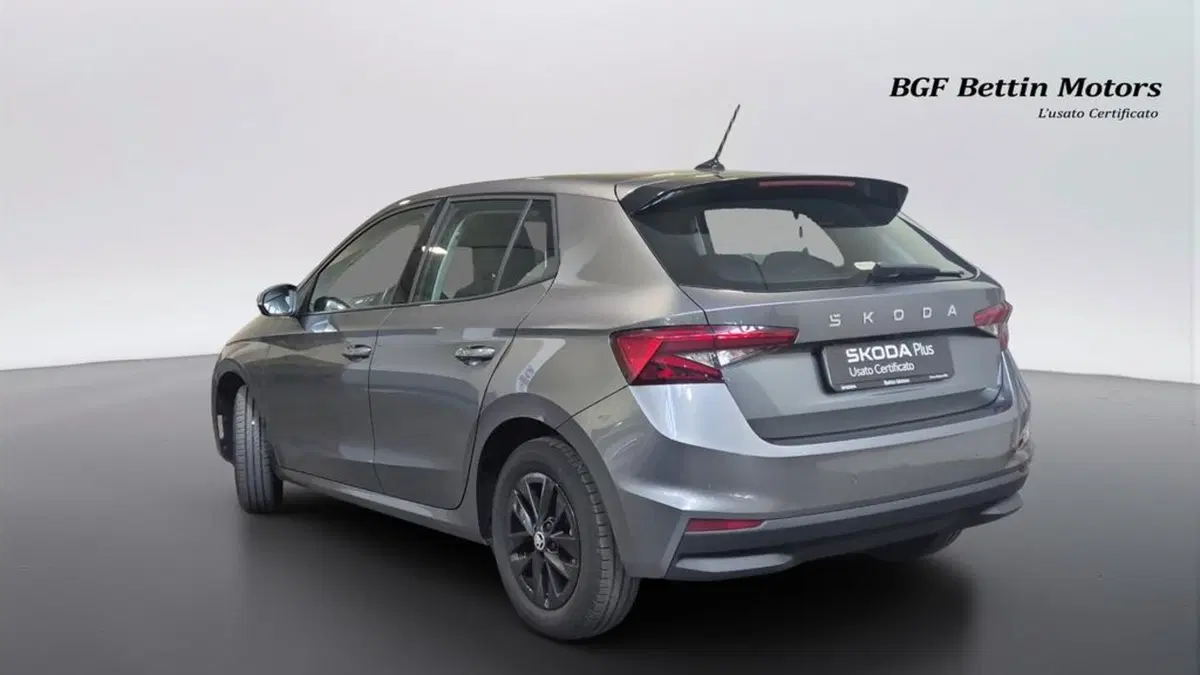 Skoda Fabia usata a Padova (3)