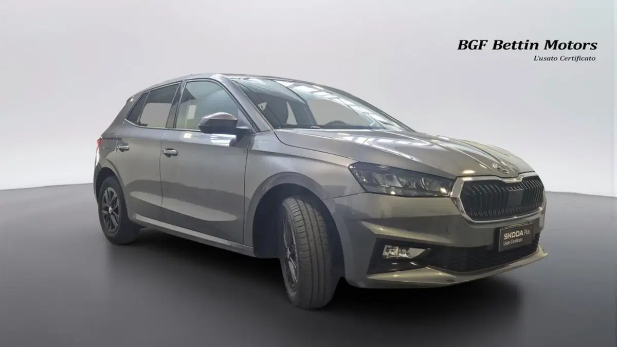 Skoda Fabia usata a Padova (4)