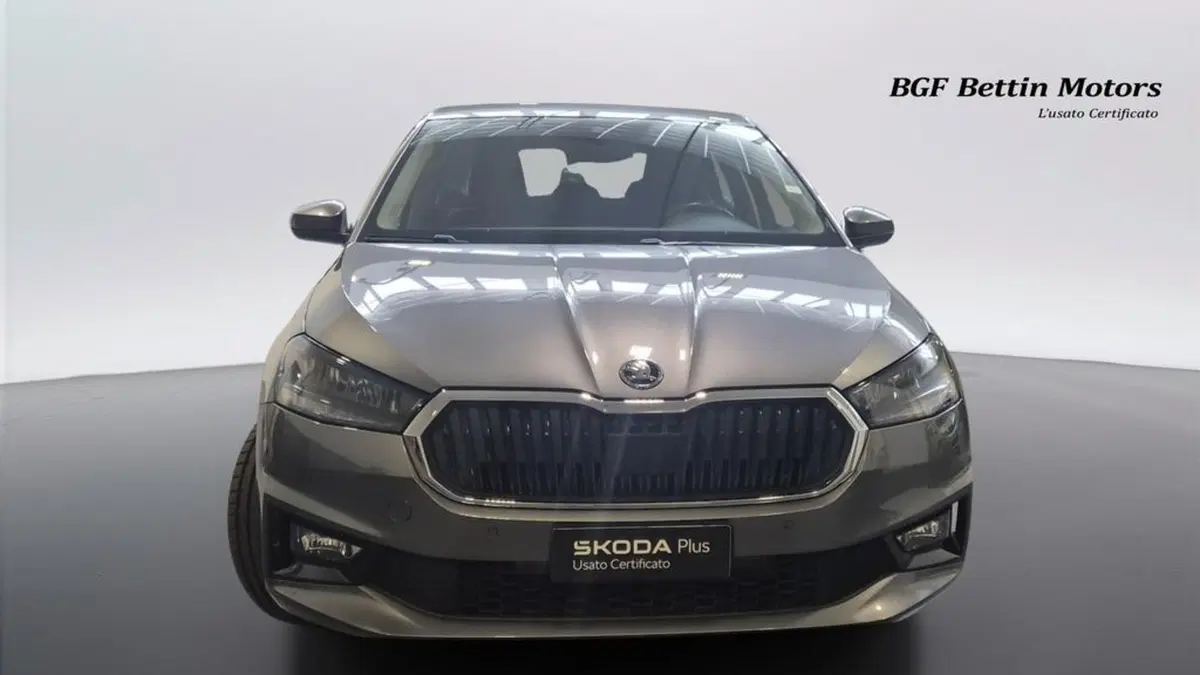 Skoda Fabia usata a Padova (7)