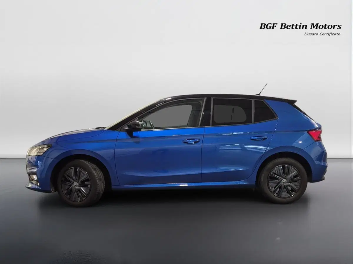 Skoda Fabia usata a Padova (2)