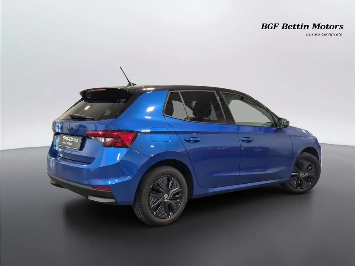 Skoda Fabia usata a Padova (3)