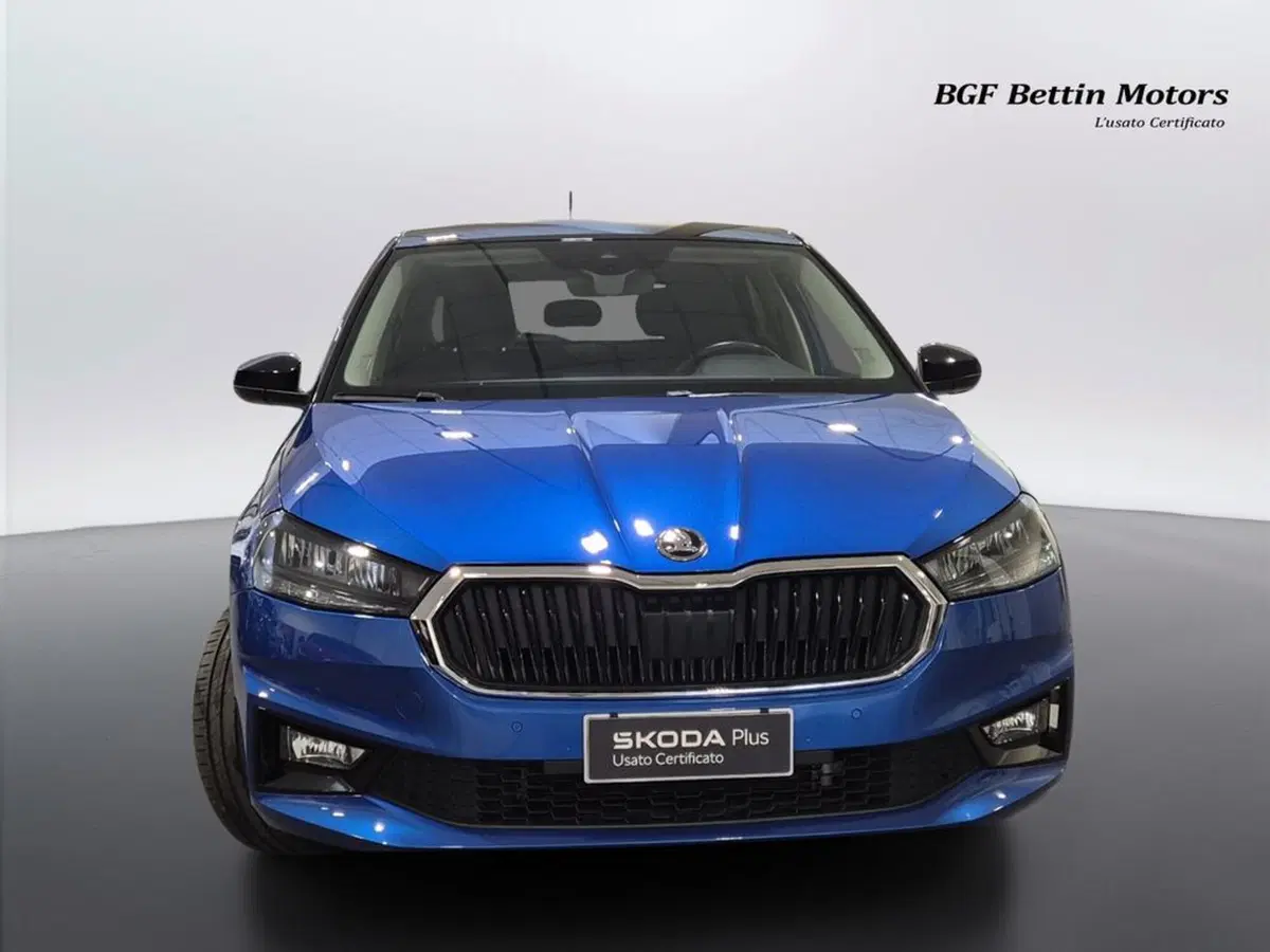 Skoda Fabia usata a Padova (7)