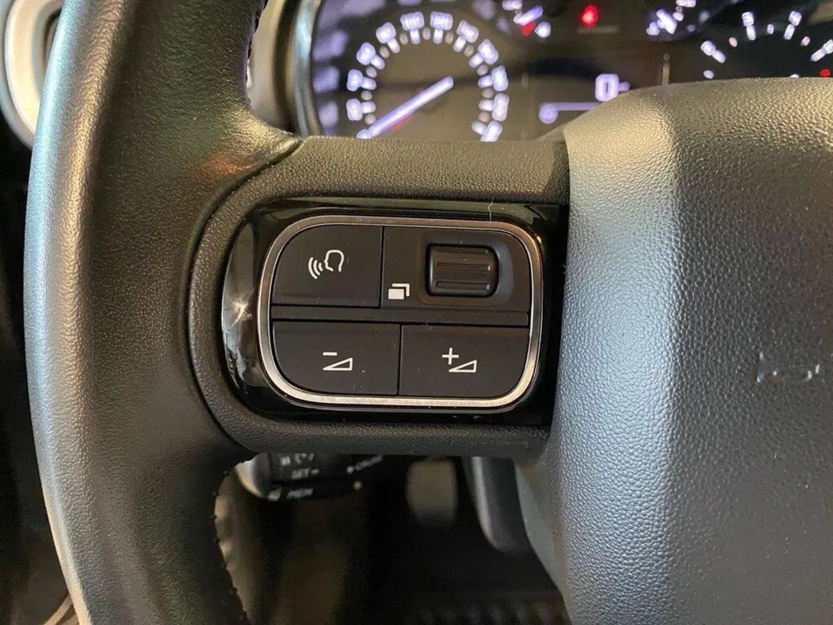 Citroen C3 usata a Torino (12)