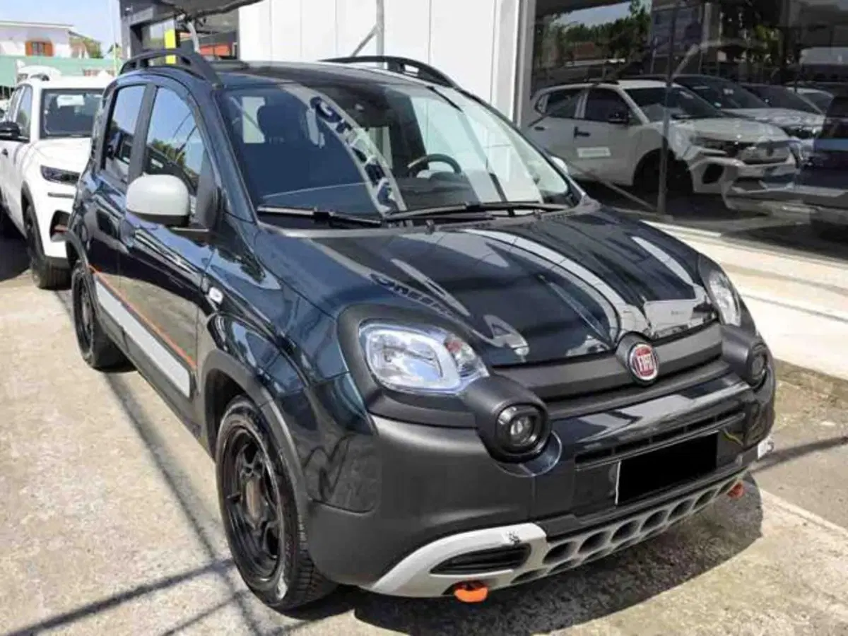 Fiat Panda usata a Torino (2)