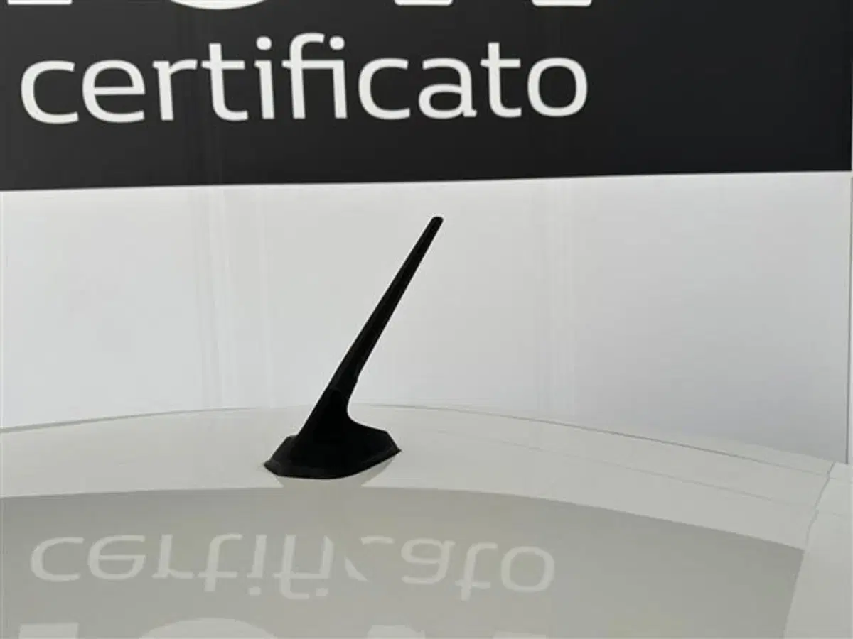 Renault Clio usata a Siena (7)