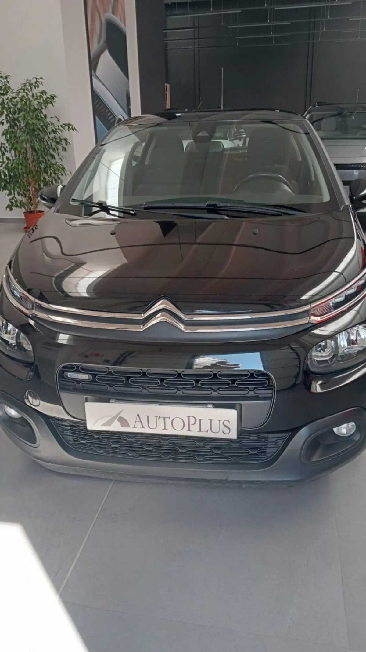 Citroen C3 usata a Sassari (6)
