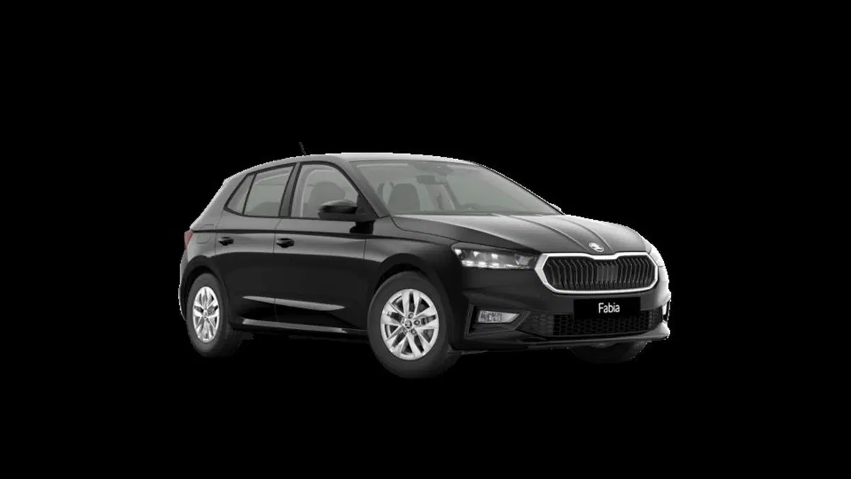 Skoda Fabia nuova a Padova