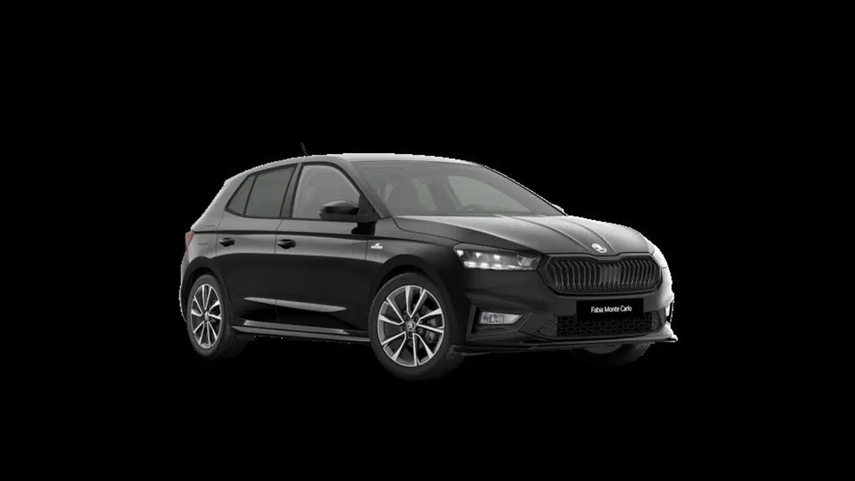 Skoda Fabia nuova a Padova