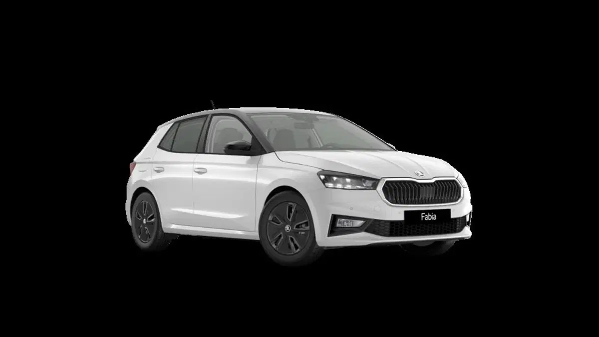 Skoda Fabia nuova a Padova