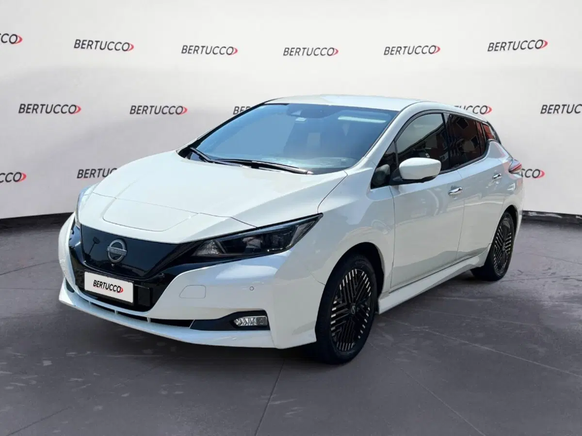 Nissan Leaf usata a Verona (2)