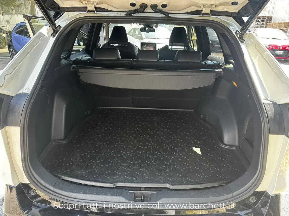 Toyota Rav4 usata a Trento (7)