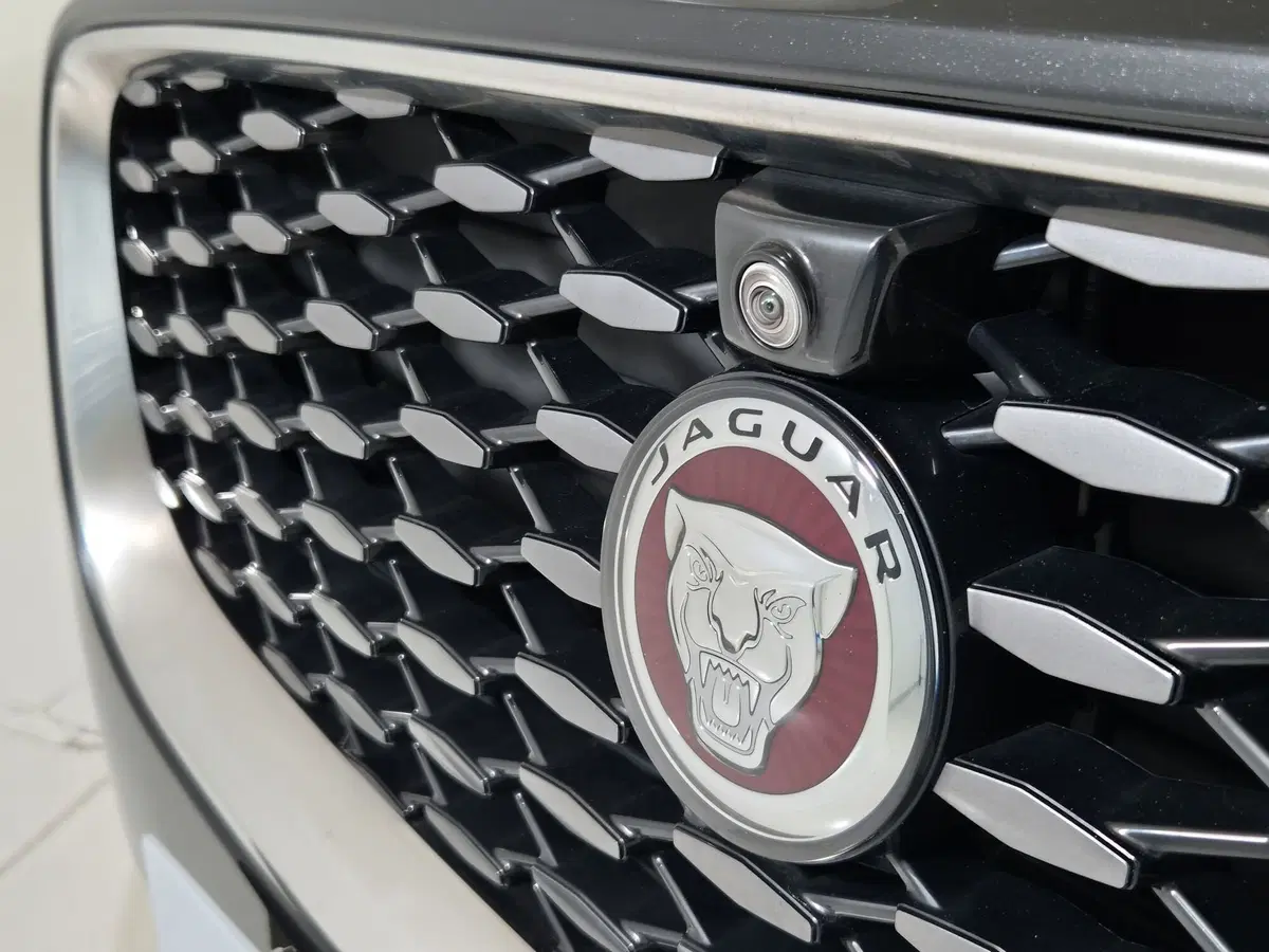 Jaguar E-Pace usata a Torino (16)
