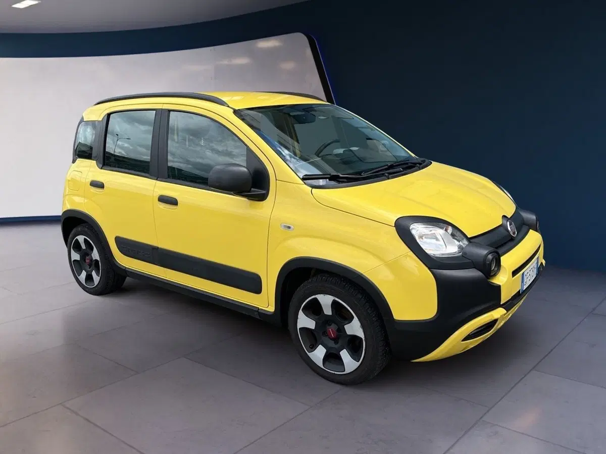 Fiat Panda usata a Torino (2)
