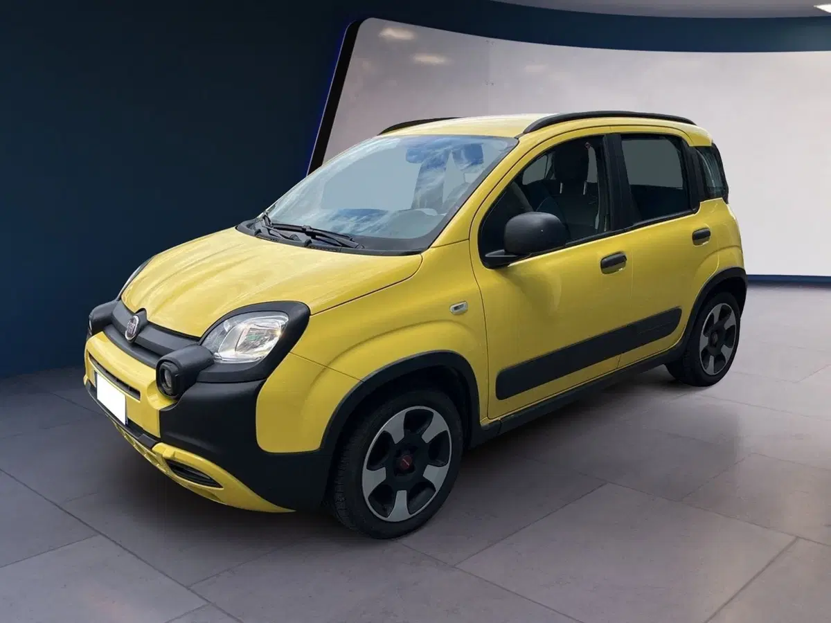 Fiat Panda usata a Torino (3)