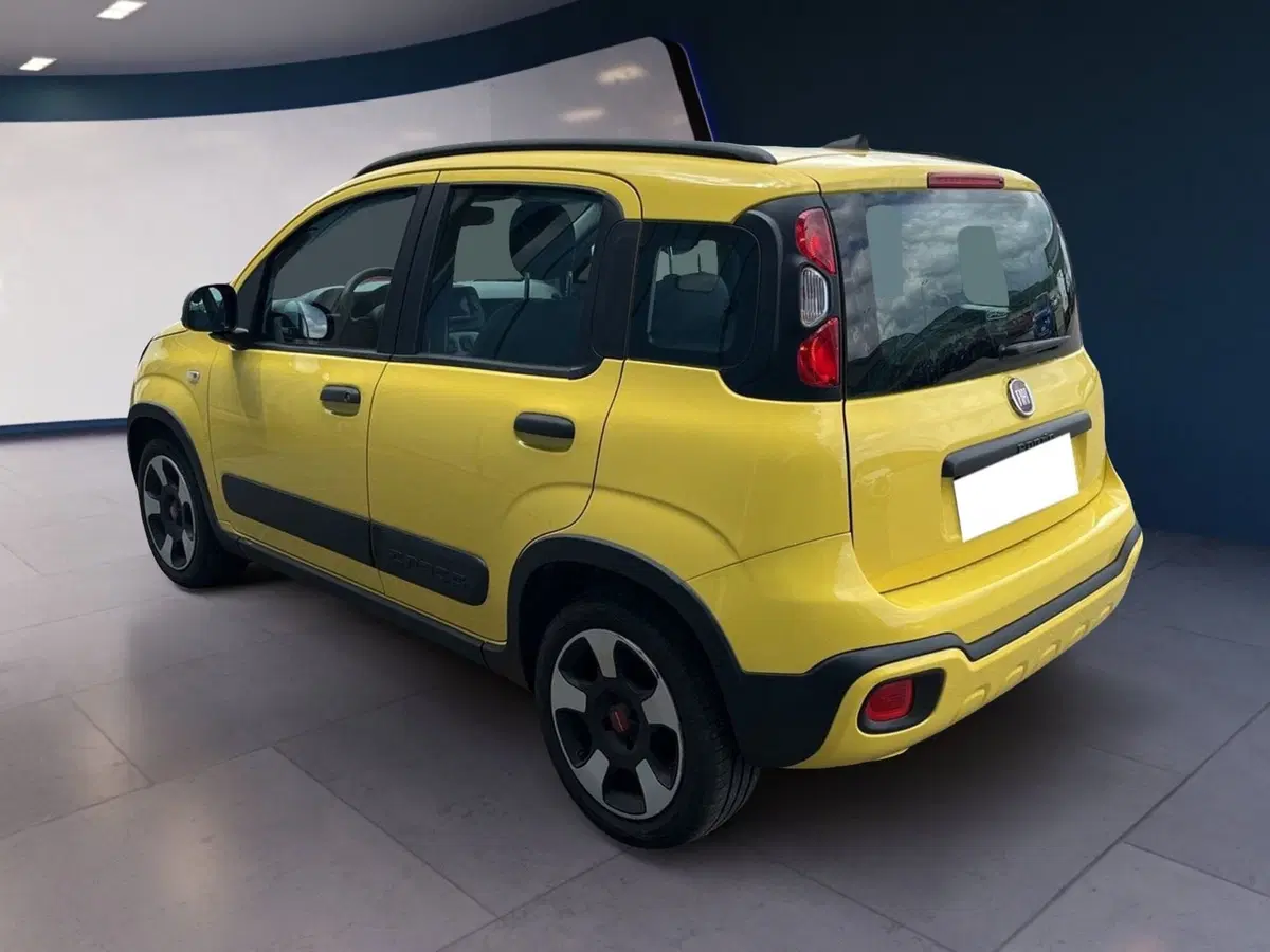Fiat Panda usata a Torino (4)