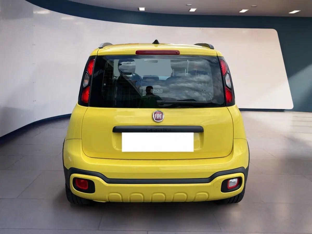 Fiat Panda usata a Torino (5)