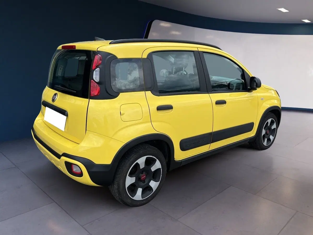 Fiat Panda usata a Torino (6)