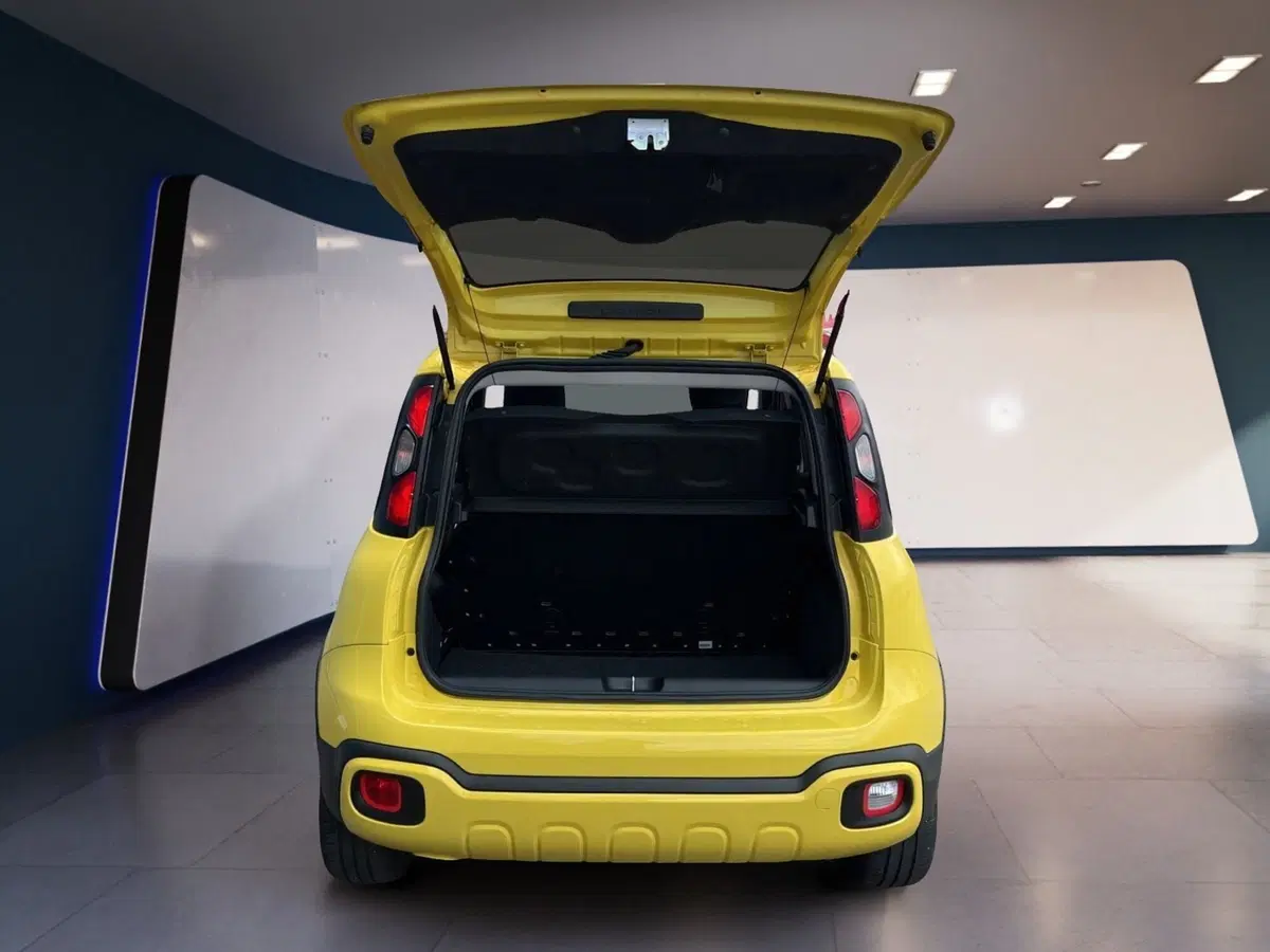 Fiat Panda usata a Torino (7)
