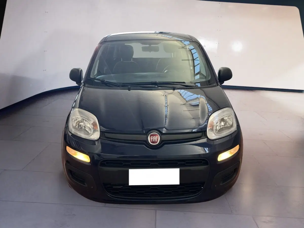 Fiat Panda usata a Torino