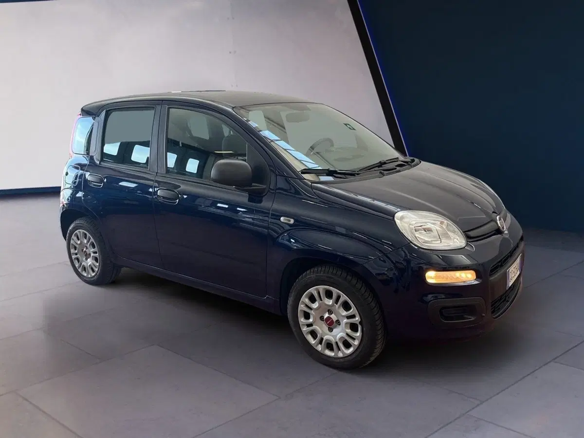 Fiat Panda usata a Torino (2)