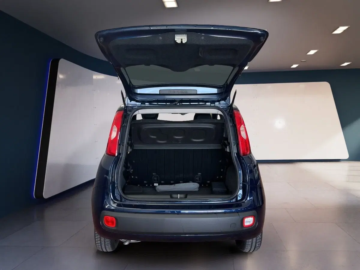 Fiat Panda usata a Torino (7)